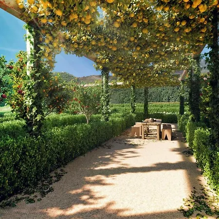 Mara's Higueron West - Garden - Like A House Apartment *